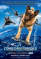 Como Cães e Gatos 2 | Dublado
